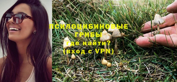 мескалин Аркадак